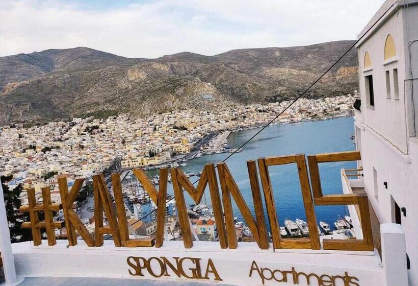 带1个卧室的带海景的公寓, Spongia Apartments Kalymnos