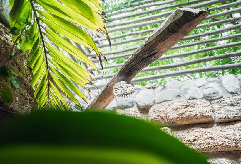 اتاق استاندارد با چشم‌انداز باغ, Villa Del Sol