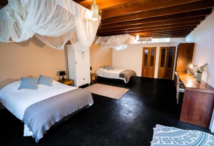 اتاق استاندارد با چشم‌انداز باغ, Villa Del Sol