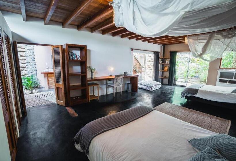 اتاق استاندارد با چشم‌انداز باغ, Villa Del Sol