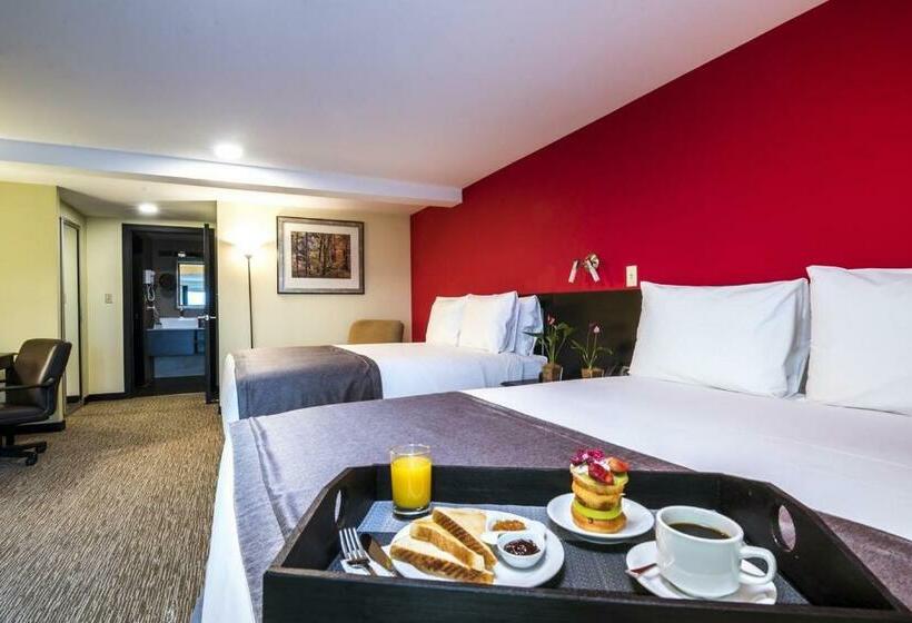 패밀리 룸, Urban Green Hotel & Suites