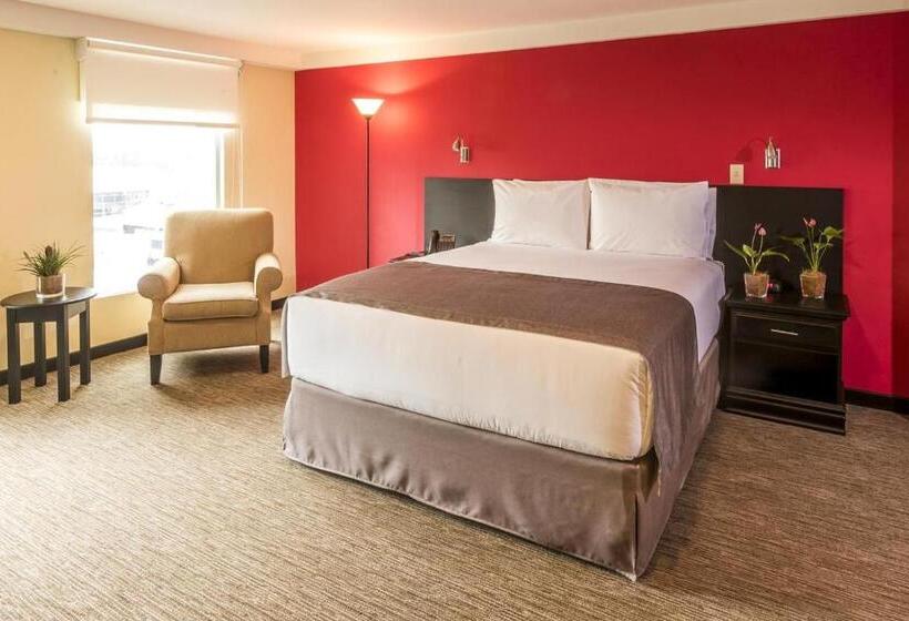 수피리어 룸, Urban Green Hotel & Suites