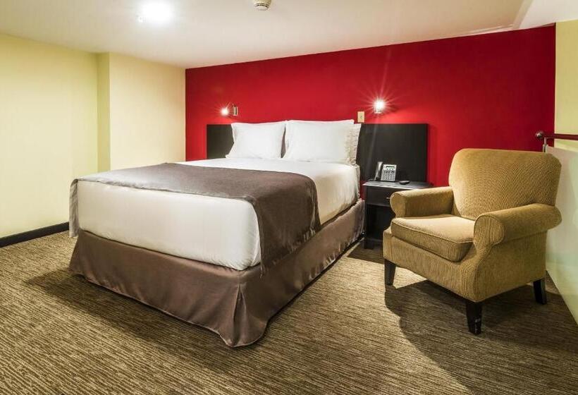 주니어 스위트, Urban Green Hotel & Suites