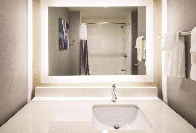 Студия Deluxe, La Quinta Inn & Suites By Wyndham Locust Grove