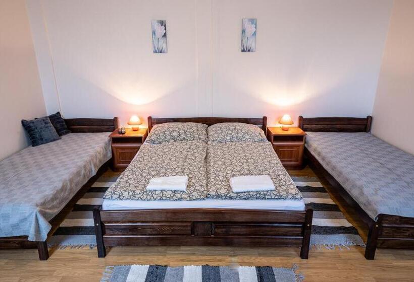 スタンダード４人部屋, Megálló Wellness Panzió