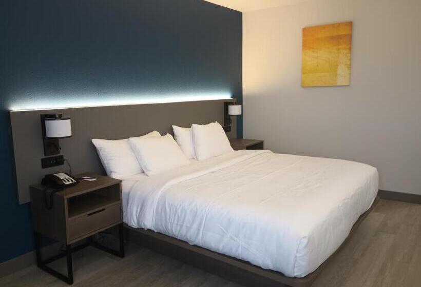 Стандартный Номер Кровать Кинг, Rodeway Inn & Suites
