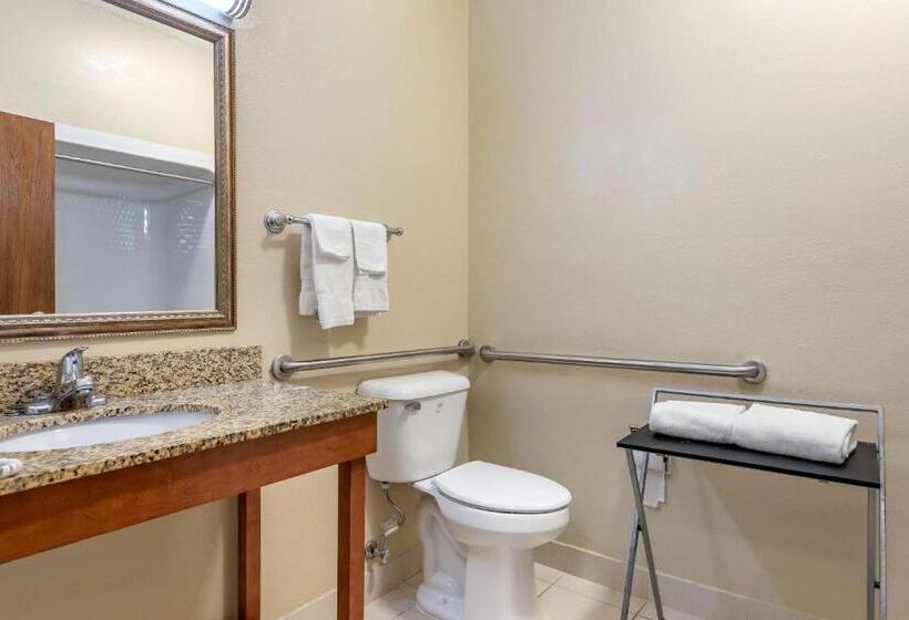 Люкс Адаптированный для Инвалидов, Comfort Suites Auburn Hills Detroit