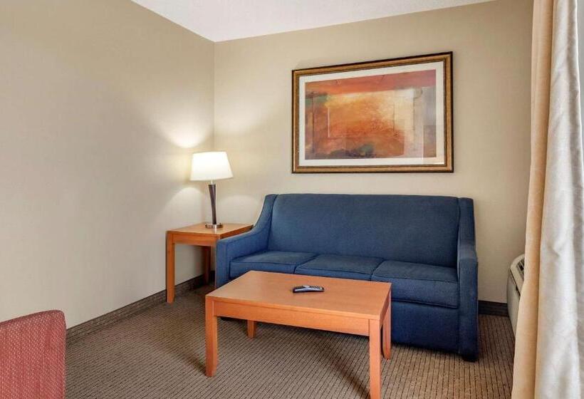 Люкс Кровать Кинг, Comfort Suites Auburn Hills Detroit