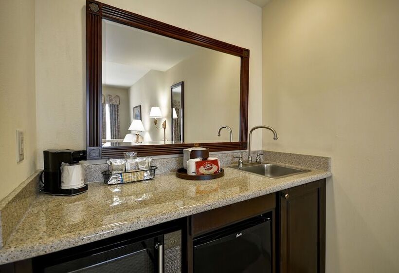 סטודיו סטנדרט, מיטה זוגית, Hampton Inn & Suites Savannah Historic District