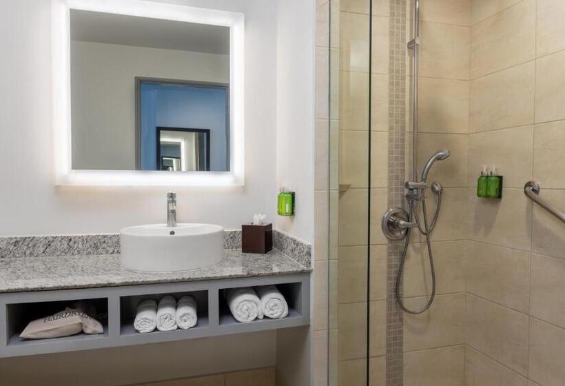 اتاق استاندارد با تخت بزرگ, Holiday Inn Express San Jose Forum Costa Rica, An Ihg