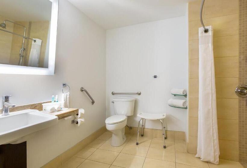 اتاق استاندارد برای معلولان, Holiday Inn Express San Jose Forum Costa Rica, An Ihg