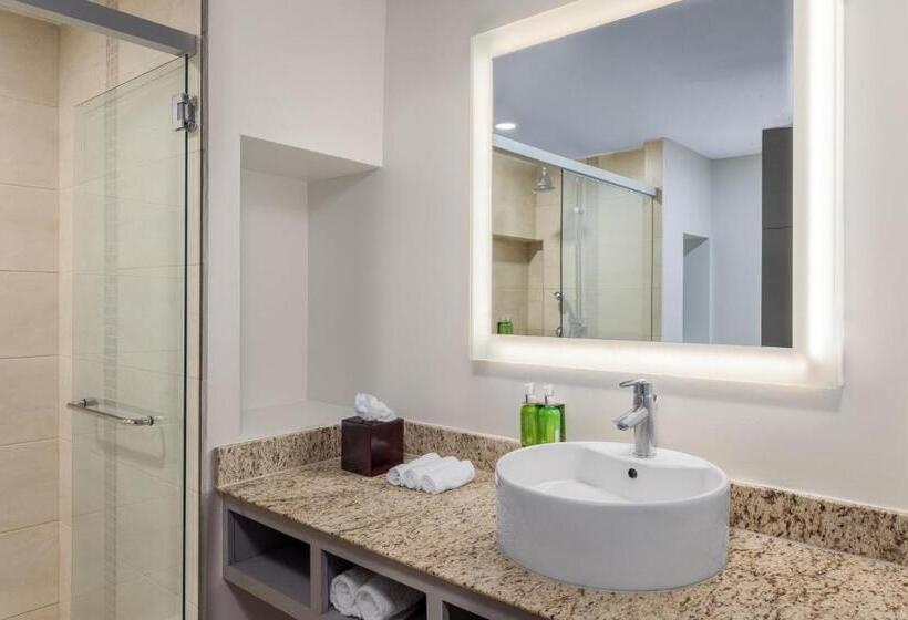 اتاق استاندارد, Holiday Inn Express San Jose Forum Costa Rica, An Ihg