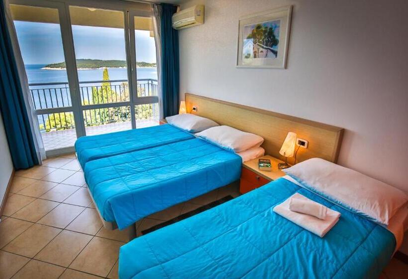 آپارتمان 1 خوابه با بالکن و چشم‌انداز دریا, Splendid Resort