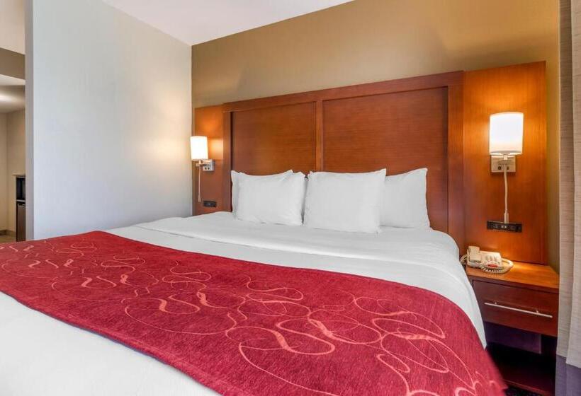 מיטת קינג בסוויטה, Comfort Suites North