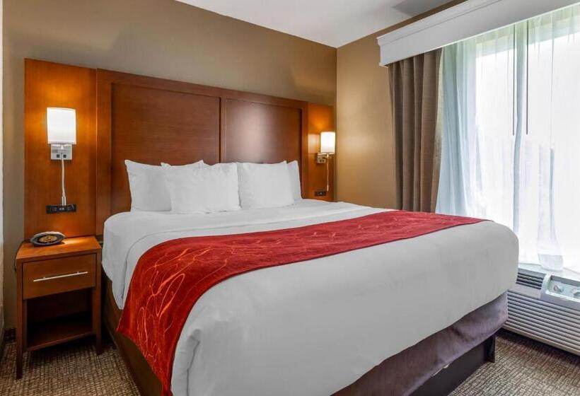 מיטת קינג בסוויטה, Comfort Suites North