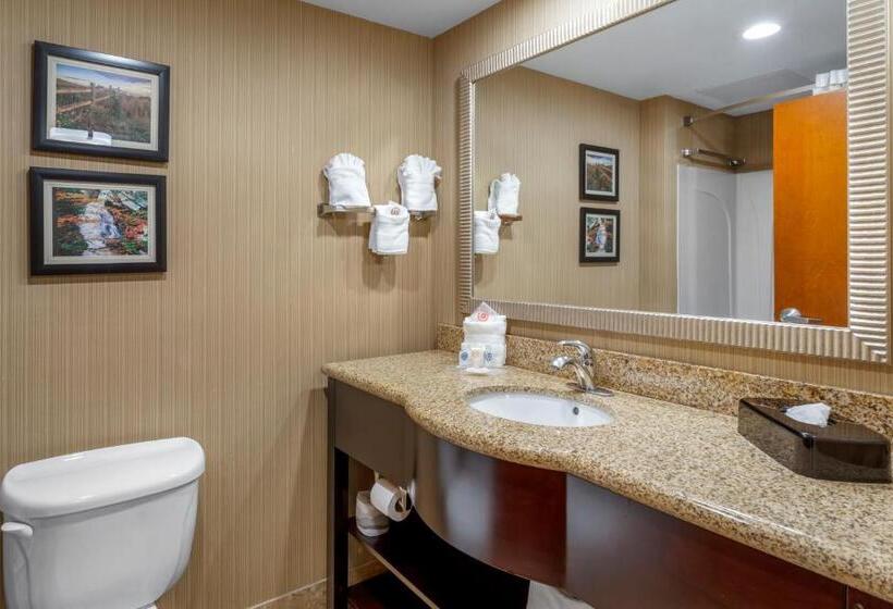 סוויטה, Comfort Suites North