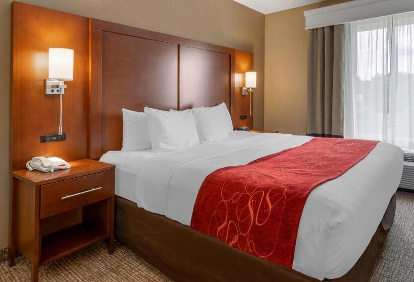 סוויטה מותאמת לאדם עם מוגבלויות, Comfort Suites North