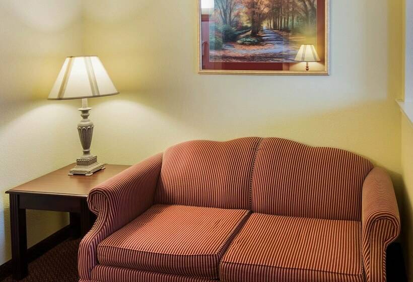 سوئیت برای معلولان, Comfort Suites Texarkana Texas