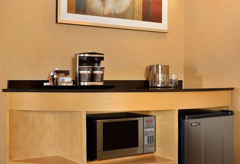 سوئیت با تخت بزرگ, Doubletree By Hilton Hotel Oklahoma City Airport