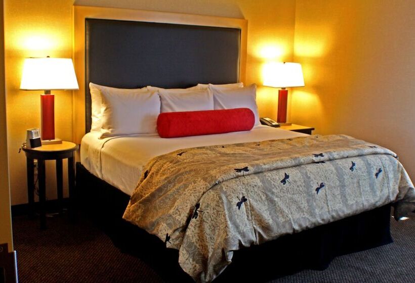سوئیت با تخت بزرگ, Doubletree By Hilton Hotel Oklahoma City Airport