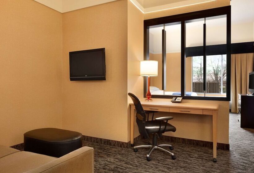 اتاق استاندارد با 2 تخت دوبل, Doubletree By Hilton Hotel Oklahoma City Airport