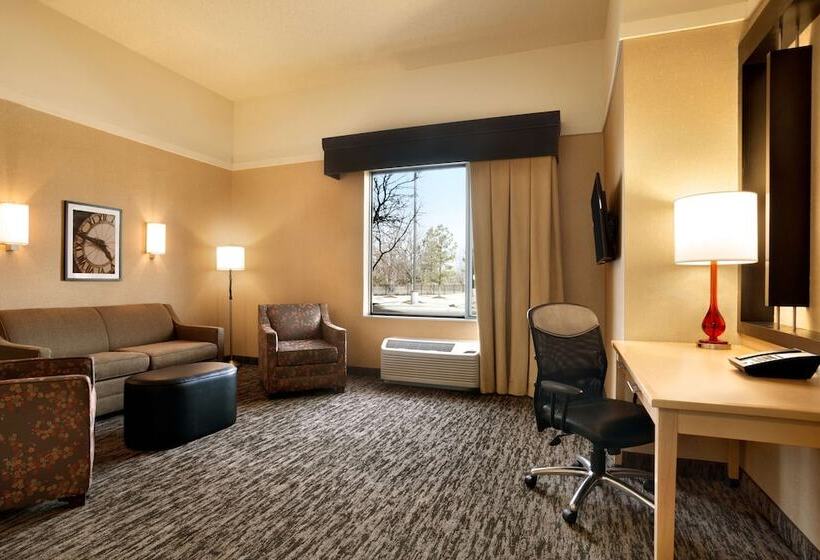 اتاق استاندارد با تخت بزرگ برای معلولان, Doubletree By Hilton Hotel Oklahoma City Airport