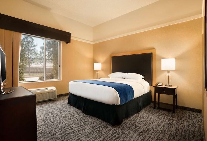 اتاق استاندارد با تخت بزرگ برای معلولان, Doubletree By Hilton Hotel Oklahoma City Airport