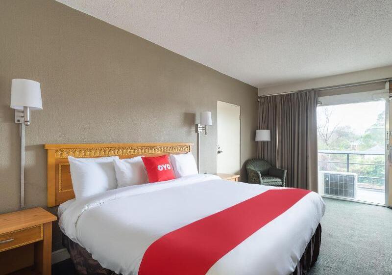 스탠다드 룸 킹사이즈 침대, OYO Sumter SC Downtown