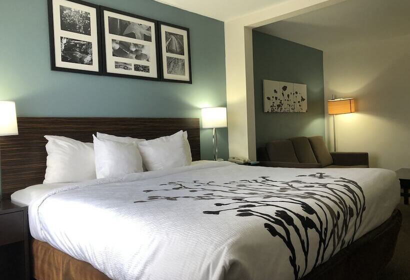 스위트, Spark By Hilton Montgomery Eastchase