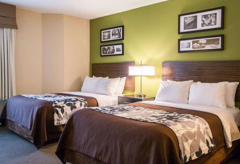 Номер Стандарт 2 Двуспальные Кровати, Sleep Inn Douglasville