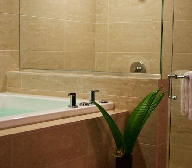 جناح ديلوكس, The Royal Sonesta Chicago River North