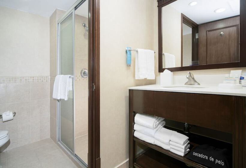 スタンダードルーム, Hampton Inn & Suites Mexico City Centro Historico