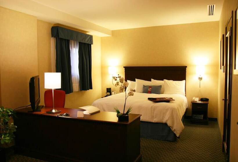 スイート, Hampton Inn & Suites Mexico City Centro Historico