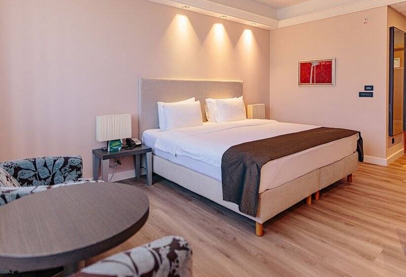 اتاق استاندارد با تخت دوبل, Holiday Inn Belgrade By Ihg