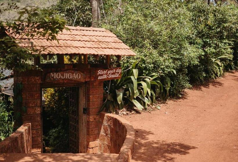 اتاق استاندارد, Mojigao   Eco Resort