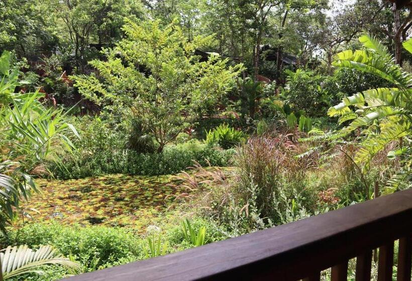 اتاق استاندارد, Mojigao   Eco Resort