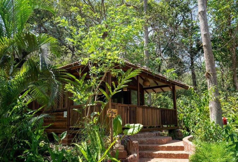 اتاق استاندارد با تخت بزرگ, Mojigao   Eco Resort