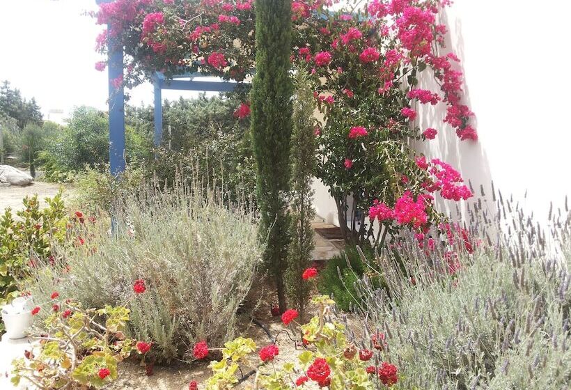 ویلای 1 خوابه با چشم‌انداز دریا, Kedros Villas