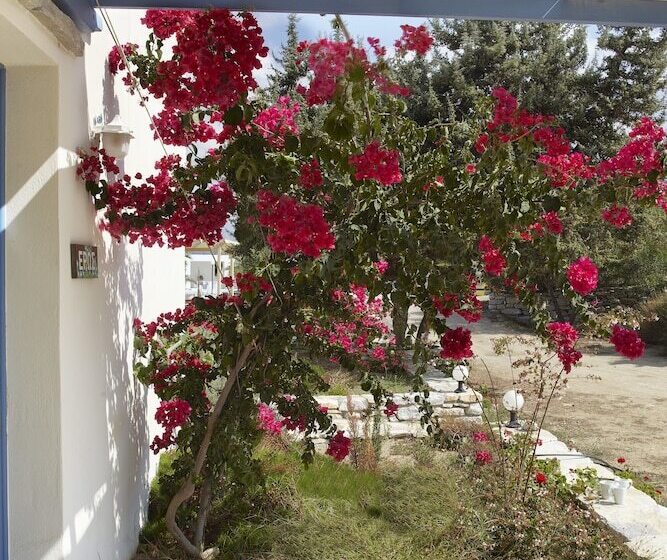 ویلای 1 خوابه با چشم‌انداز دریا, Kedros Villas