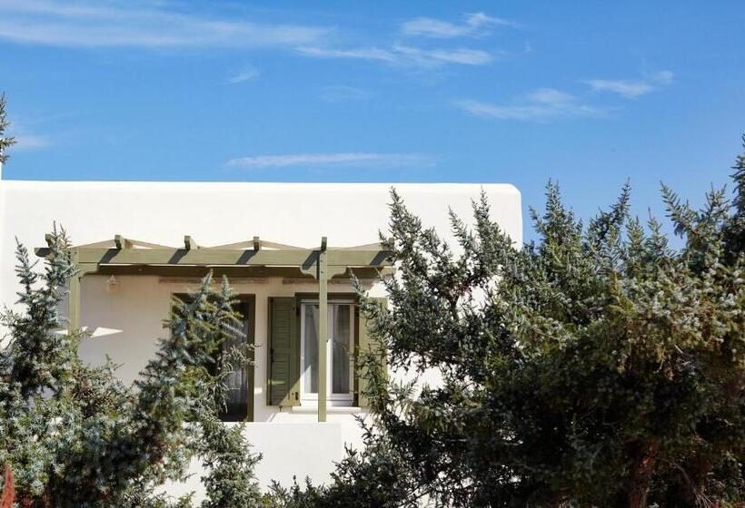 ویلای سوپریور 1 خوابه, Kedros Villas