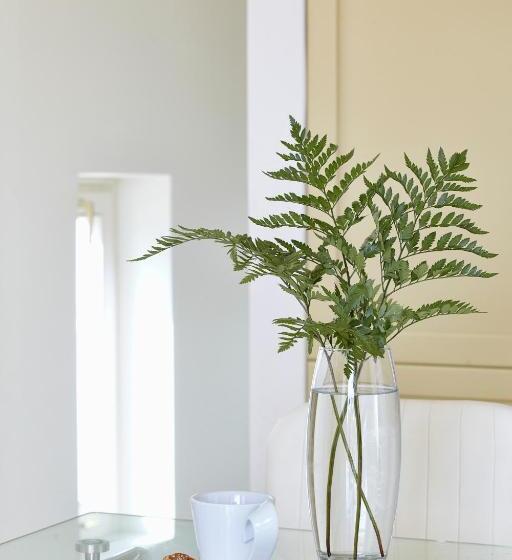 ویلای سوپریور 1 خوابه, Kedros Villas