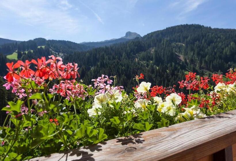带1个卧室的带阳台的公寓, Alpenspitz Appartements   Garni   B&b