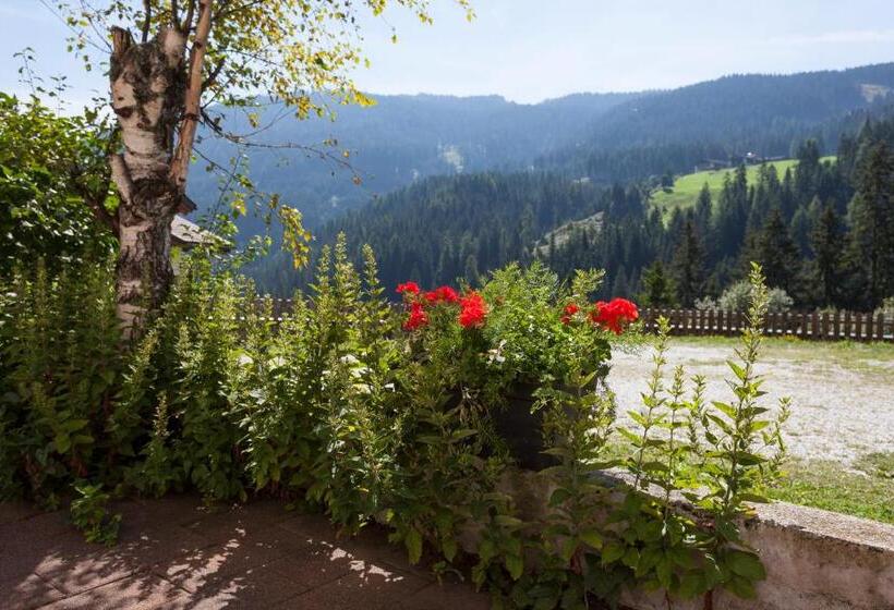 带1个卧室的带阳台的公寓, Alpenspitz Appartements   Garni   B&b