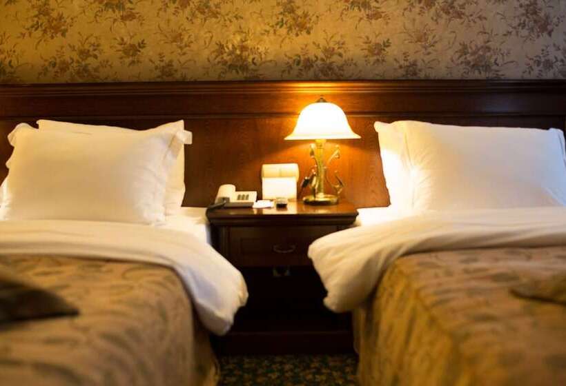 اتاق لوکس, Germir Palas Hotel   Special Class