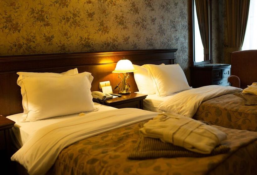 اتاق دلوکس با چشم‌انداز پارک, Germir Palas Hotel   Special Class