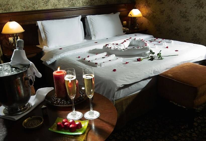 اتاق دلوکس با چشم‌انداز پارک, Germir Palas Hotel   Special Class