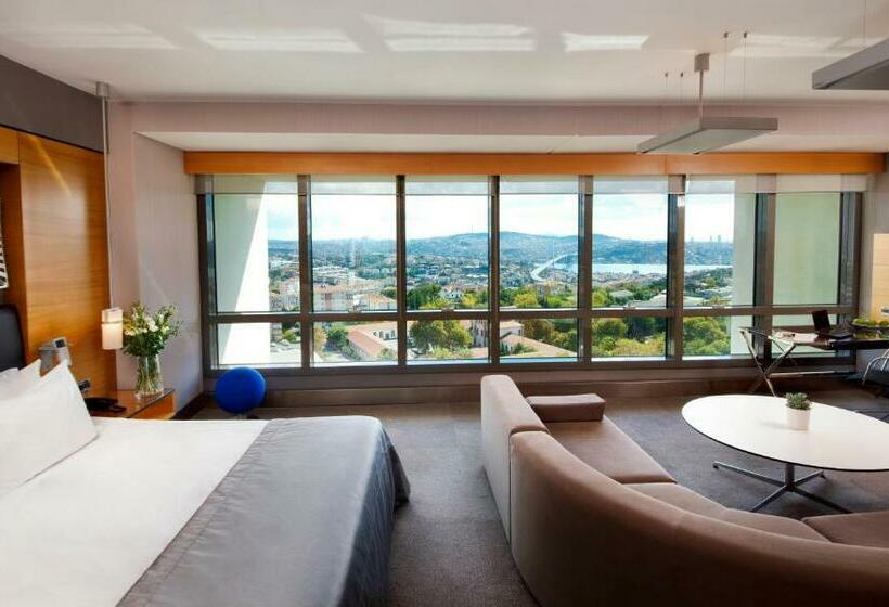 سوییت جونیور اجرایی, Point Hotel Barbaros