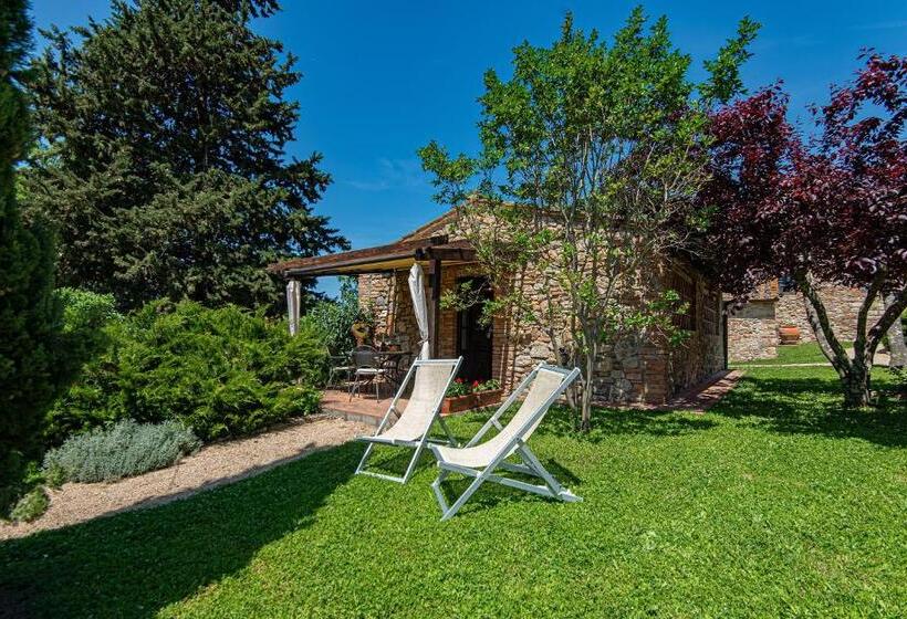 Апартаменты 1 Спальня с Террасой, Agriturismo Casavaiano