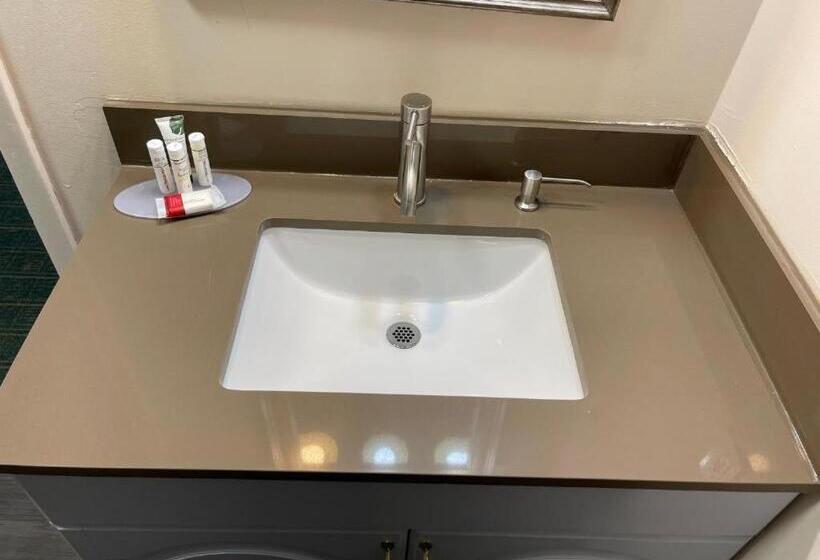 豪华房间, Camp Inn Lodge