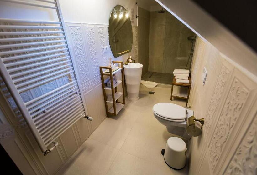 اتاق استاندارد, Royal Inn Busteni Adults Only